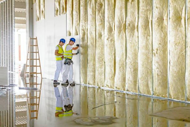 Best Eco-Friendly Insulation in Oakley, UT